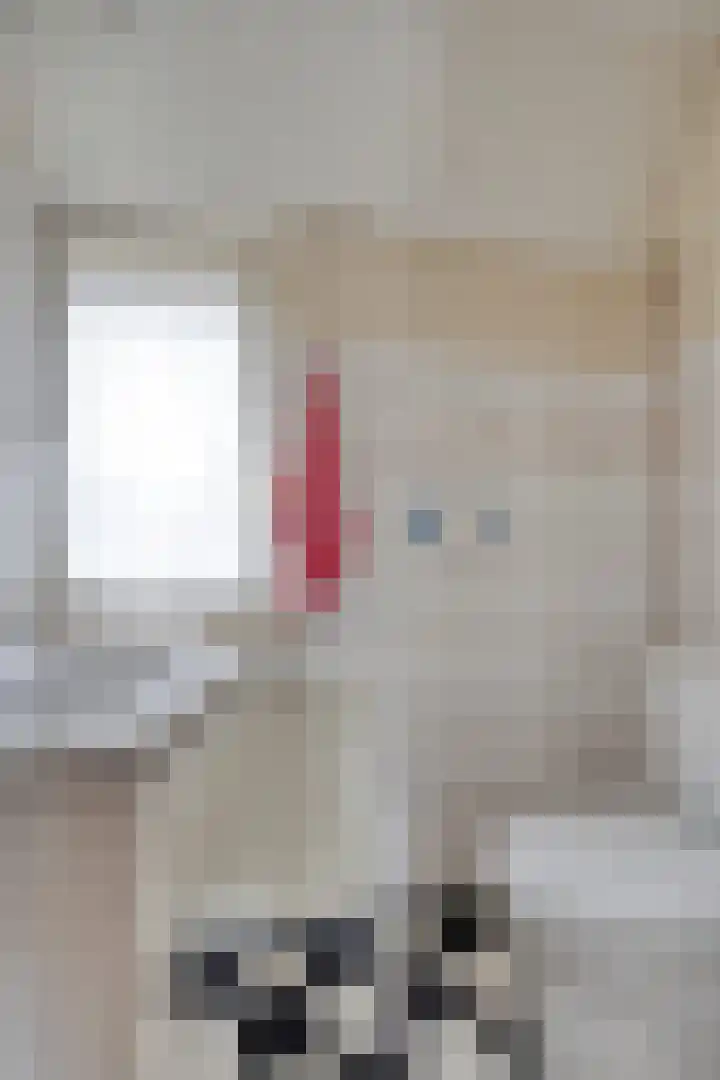't Hofke 86 Eindhoven thumbnail 21