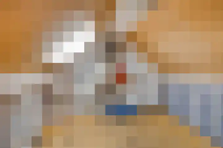 't Hofke 86 Eindhoven thumbnail 25