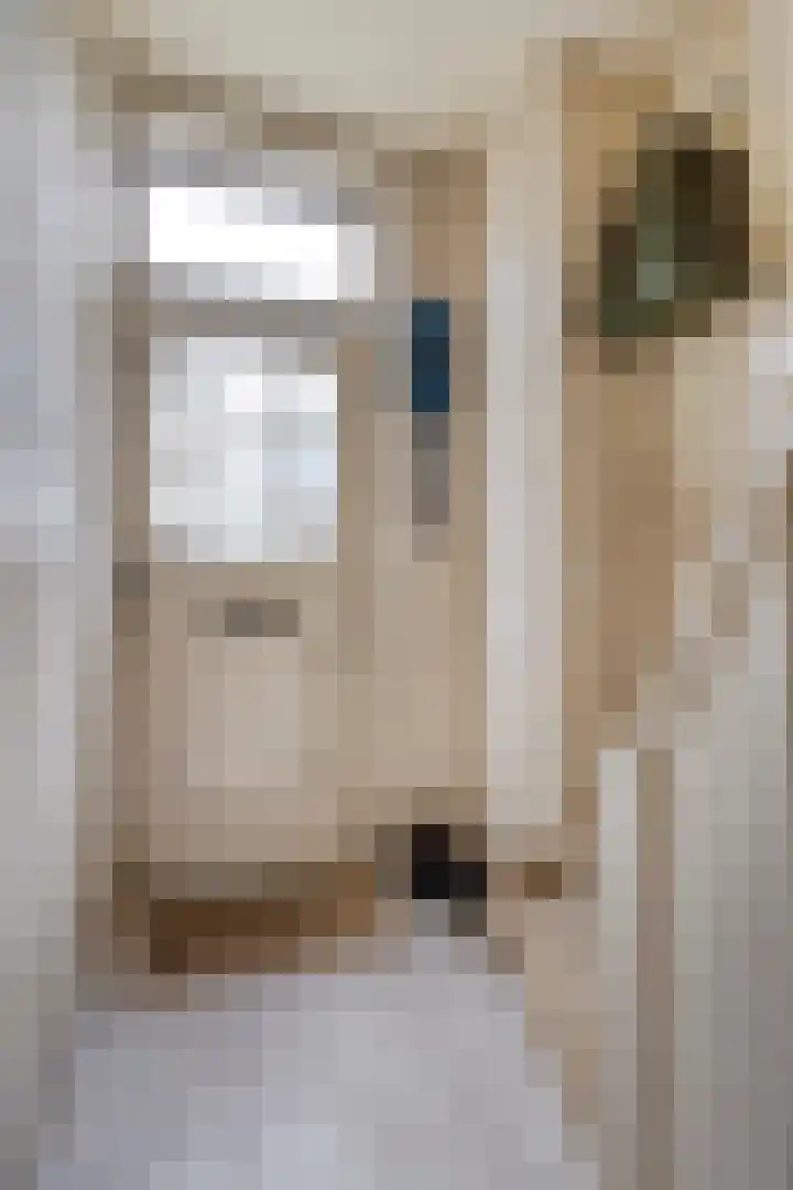 't Hofke 86 Eindhoven thumbnail 9