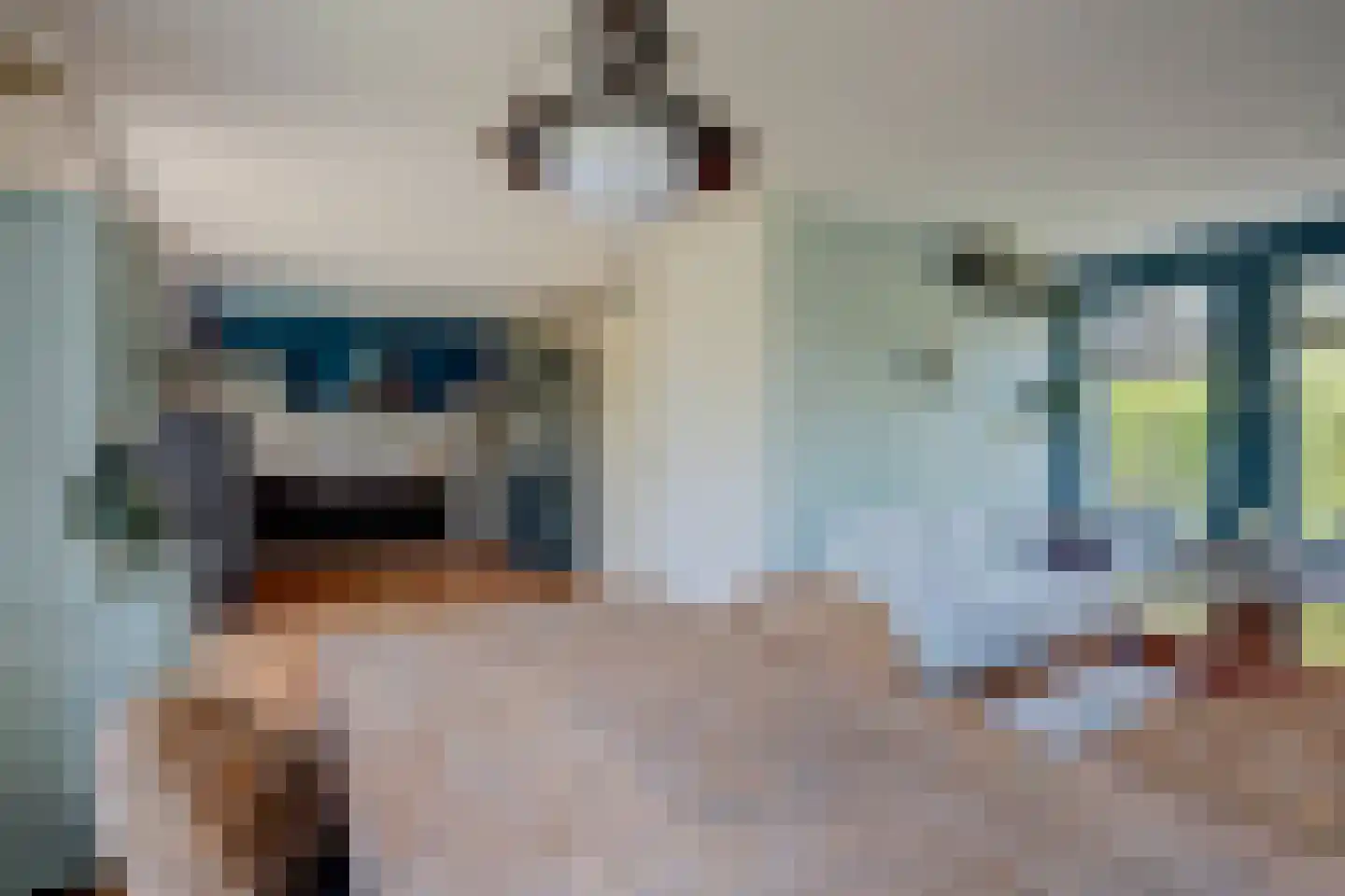 't Höfke 9 Olburgen thumbnail 12