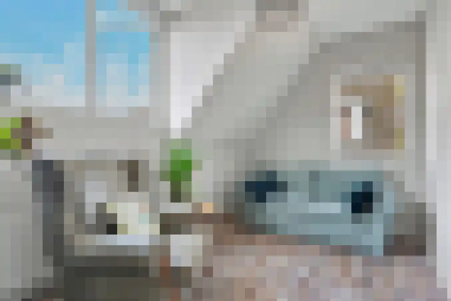 't Höfke 9 Olburgen thumbnail 22