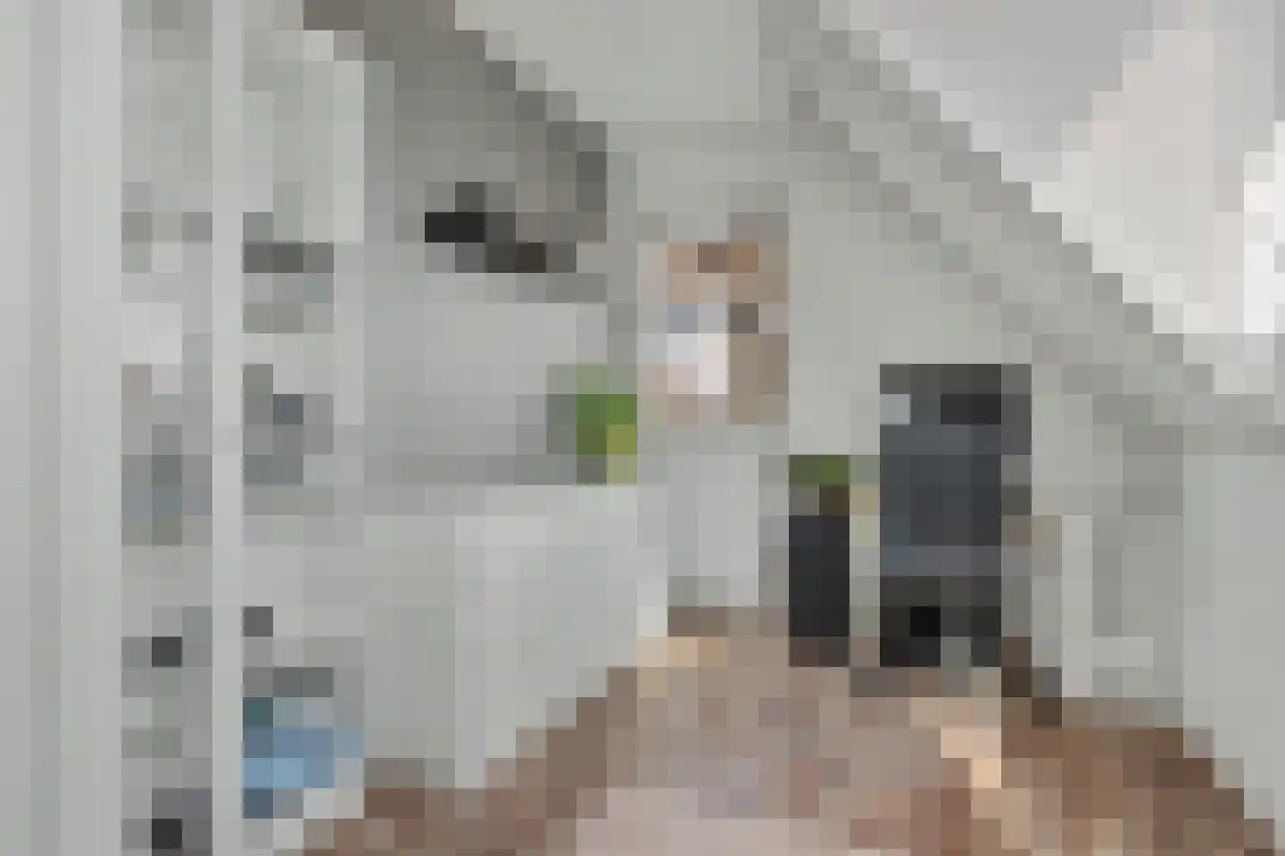 't Höfke 9 Olburgen thumbnail 24