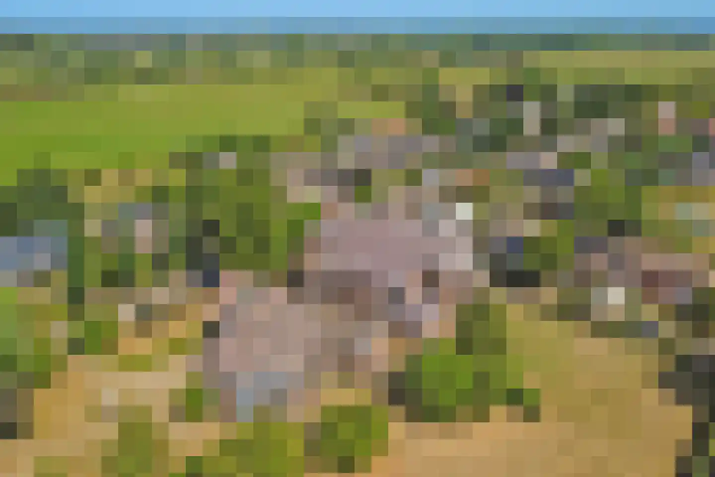 't Höfke 9 Olburgen thumbnail 39