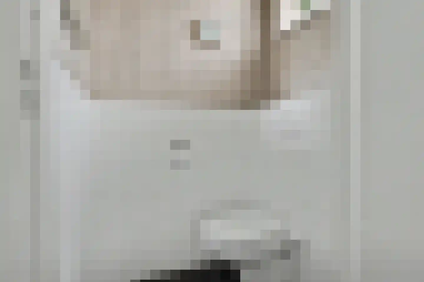 't Höfke 9 Olburgen thumbnail 6