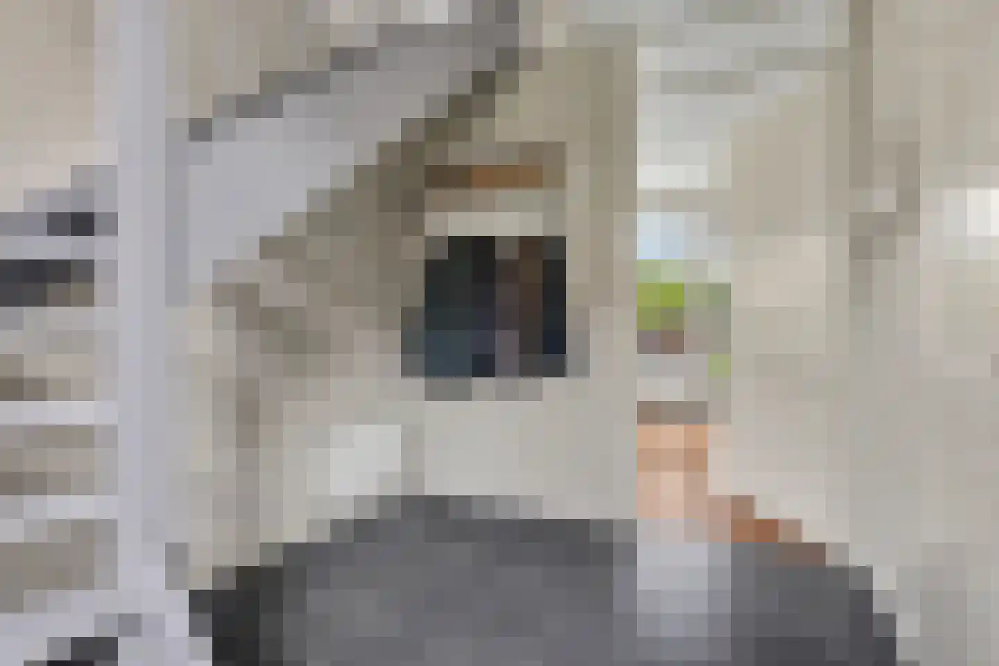 't Höfke 9 Olburgen thumbnail 7
