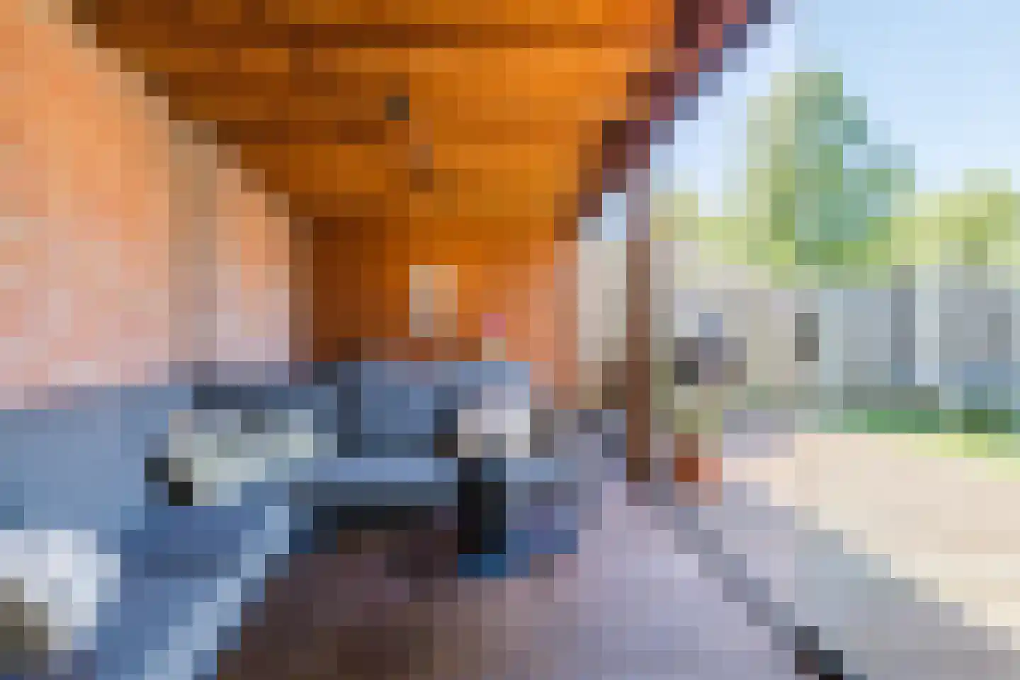 't Hofke 91 Eindhoven thumbnail 22