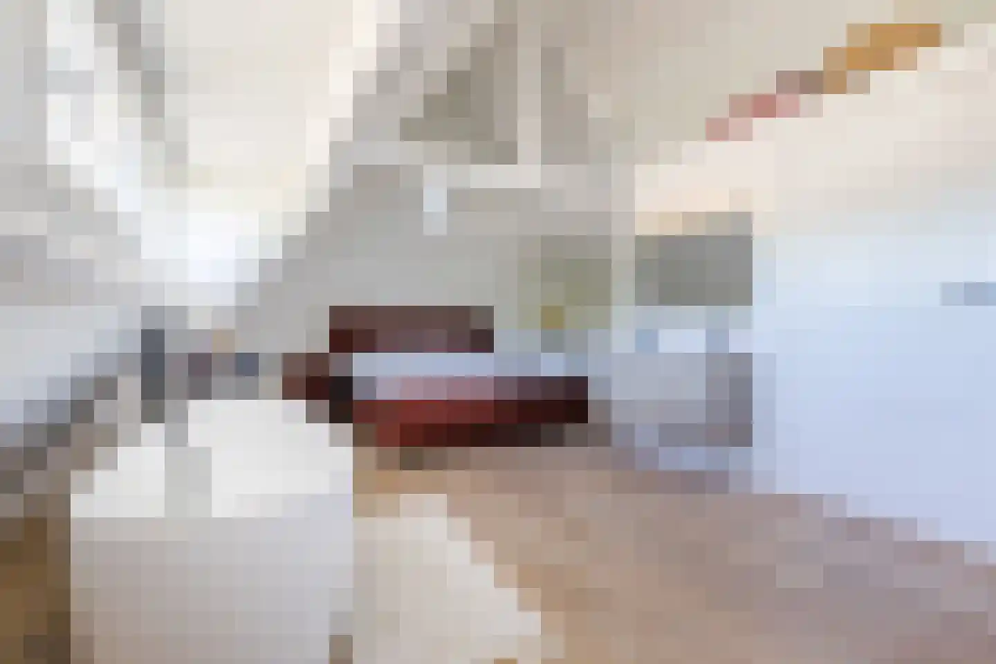 't Hofke 91 Eindhoven thumbnail 40