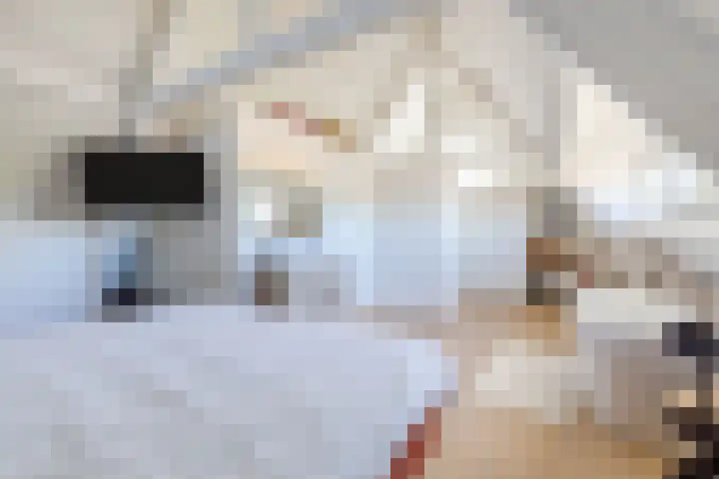 't Hofke 91 Eindhoven thumbnail 41
