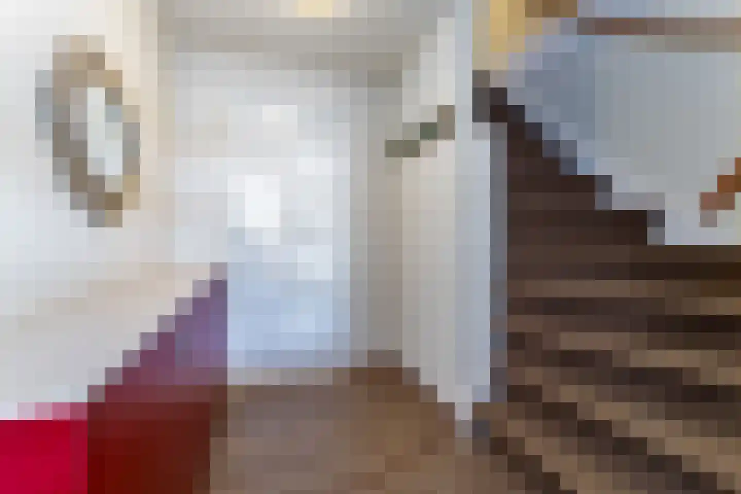 't Hoge Duyn 4 Cadzand thumbnail 10