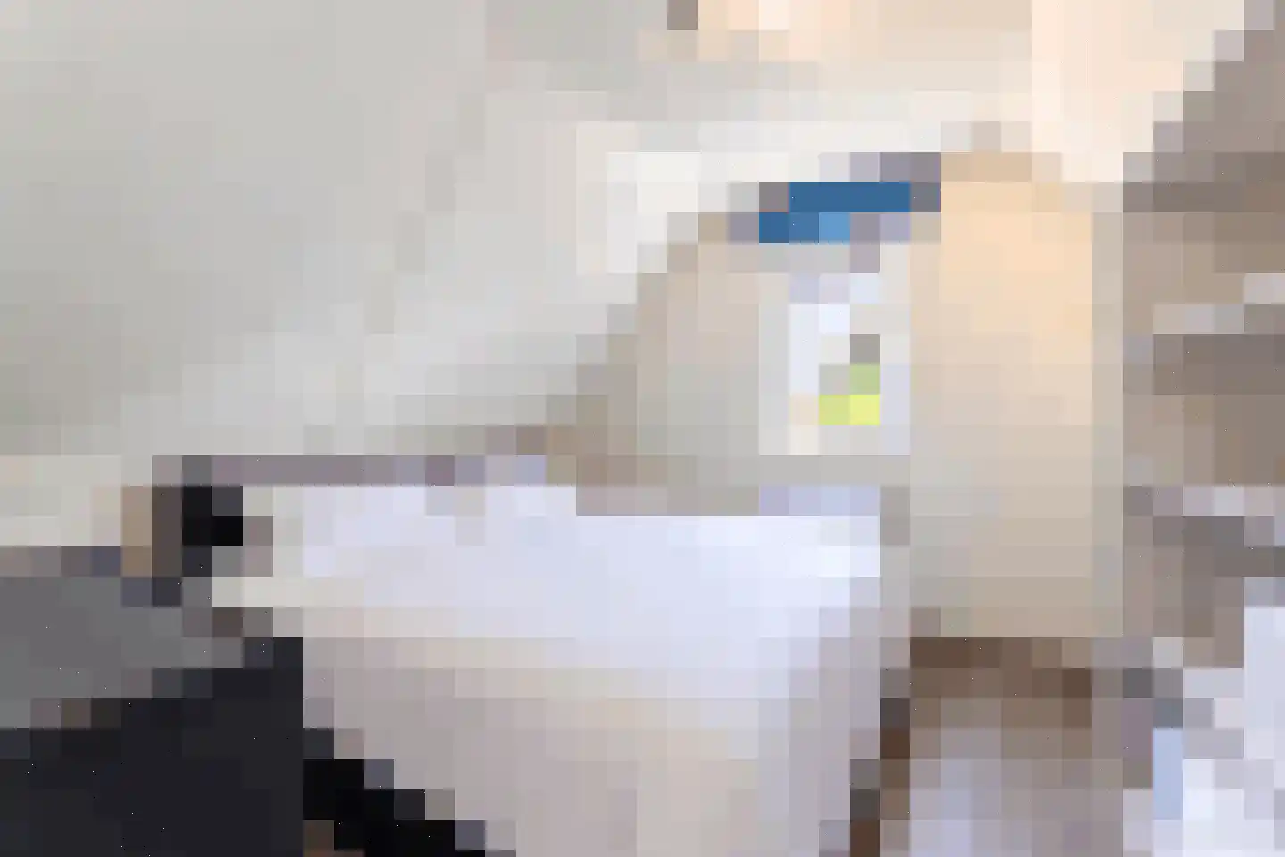 't Hoge Duyn 4 Cadzand thumbnail 18