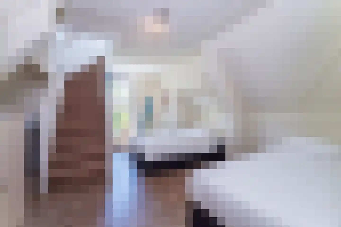 't Hoge Duyn 4 Cadzand thumbnail 22