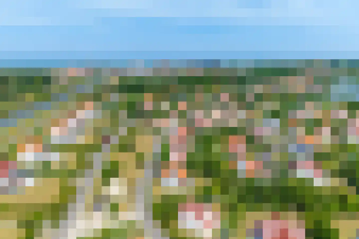 't Hoge Duyn 4 Cadzand thumbnail 35
