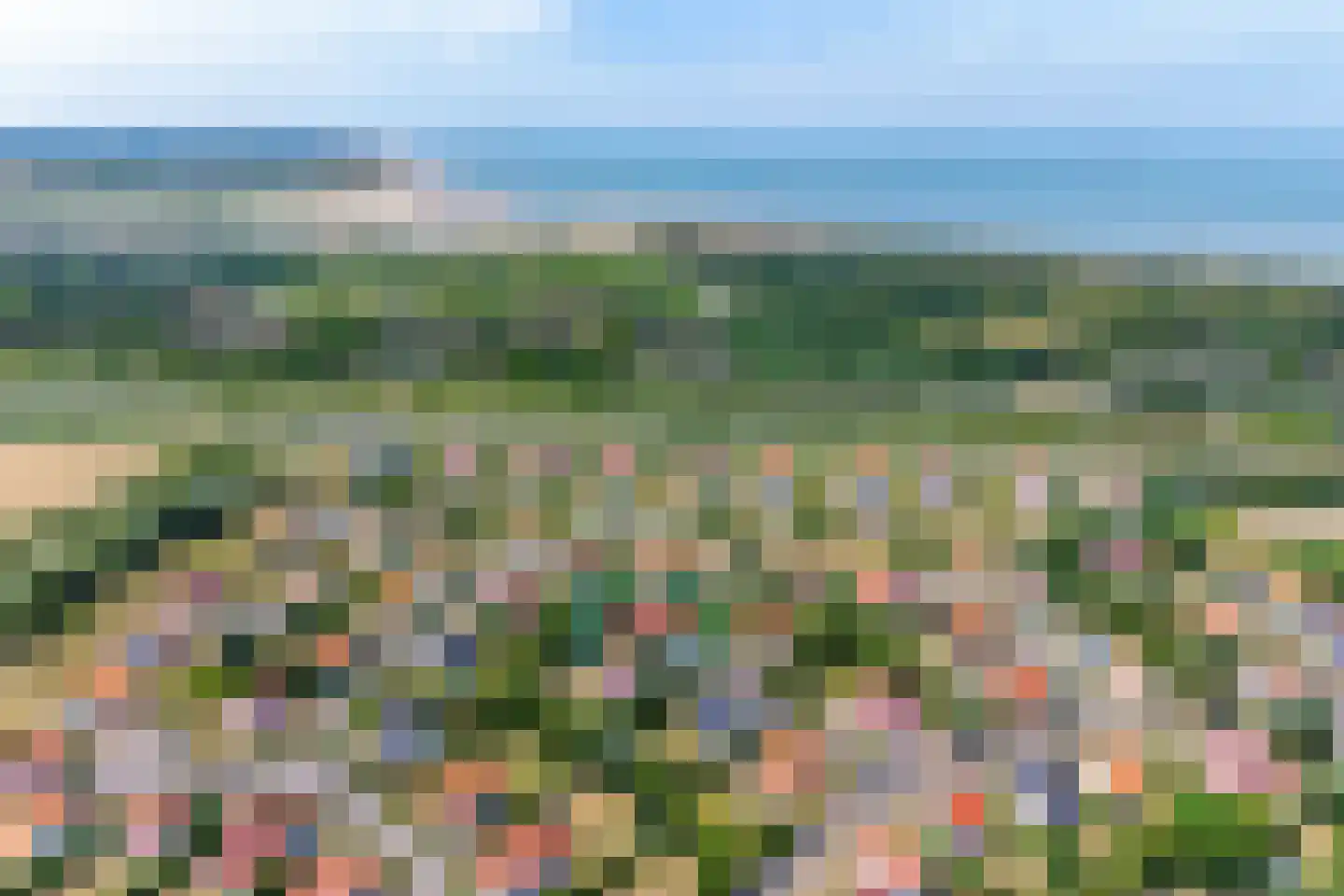 't Hoge Duyn 4 Cadzand thumbnail 4