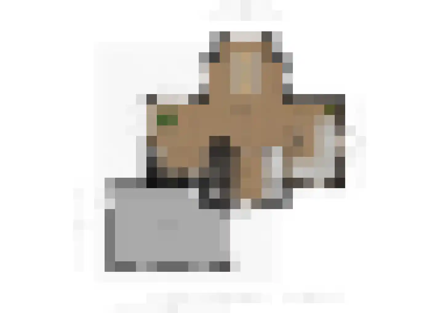 't Hoge Duyn 4 Cadzand thumbnail 40
