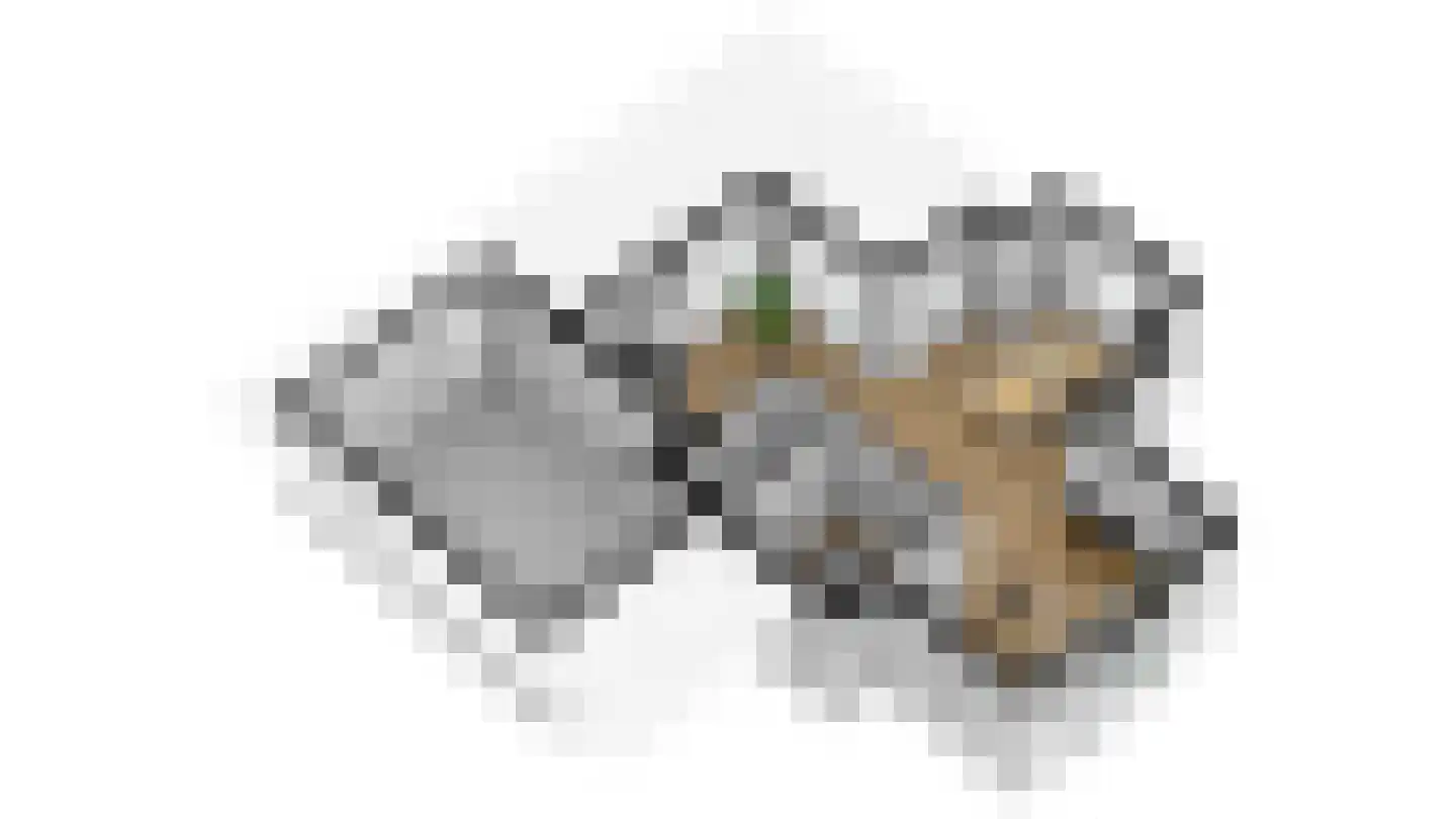 't Hoge Duyn 4 Cadzand thumbnail 43