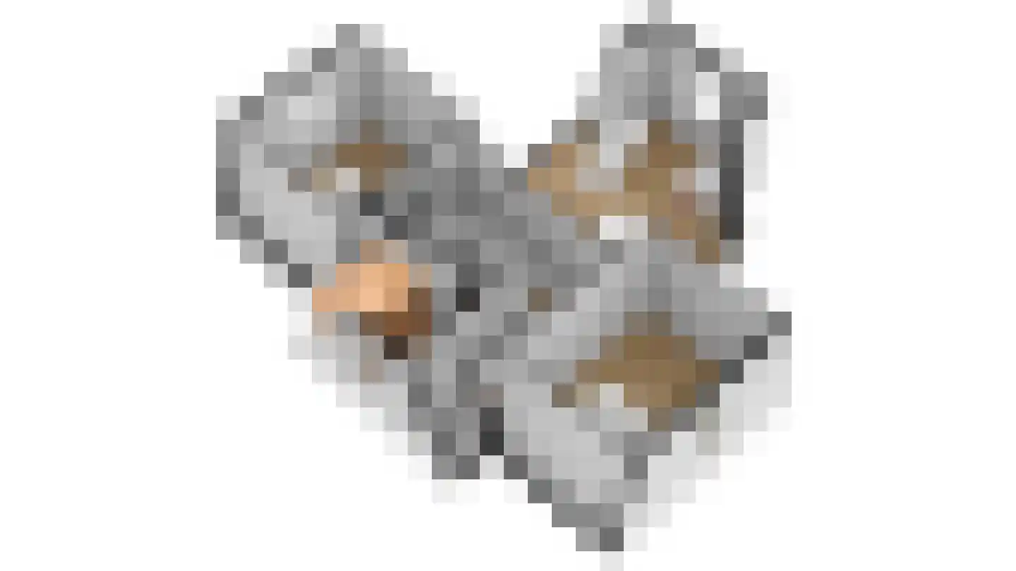 't Hoge Duyn 4 Cadzand thumbnail 44