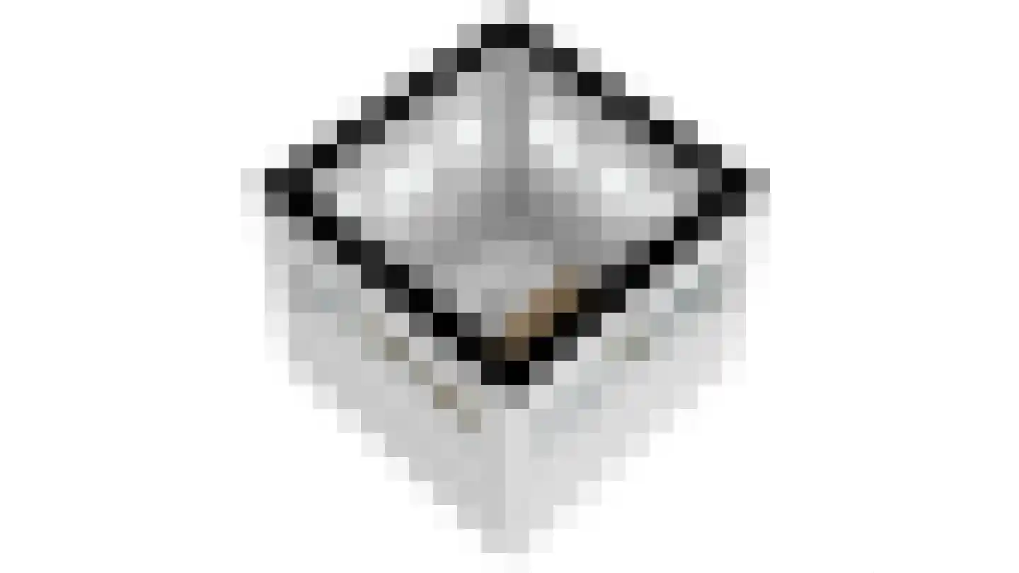 't Hoge Duyn 4 Cadzand thumbnail 45