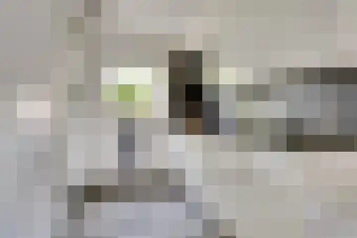 't Hoge Eind 82 Westervoort thumbnail 10