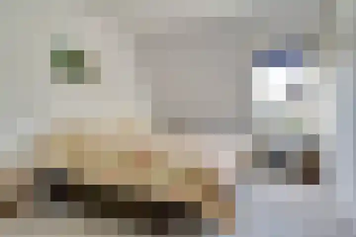 't Hoge Eind 82 Westervoort thumbnail 13