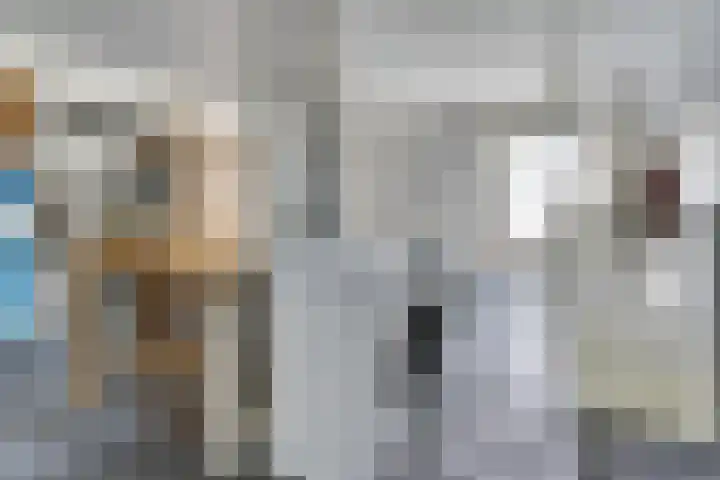 't Hoge Eind 82 Westervoort thumbnail 25