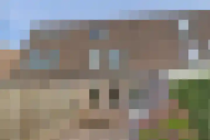 't Hoge Eind 82 Westervoort thumbnail 28