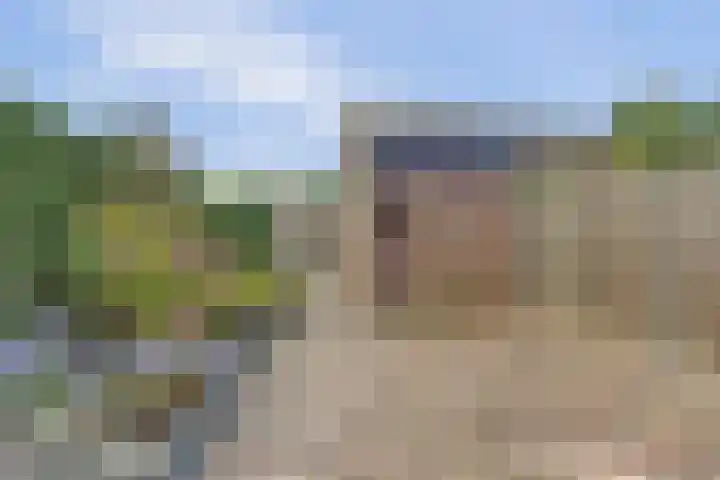 't Hoge Eind 82 Westervoort thumbnail 29