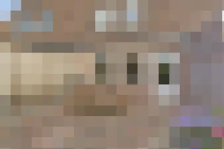 't Hoge Eind 82 Westervoort thumbnail 31