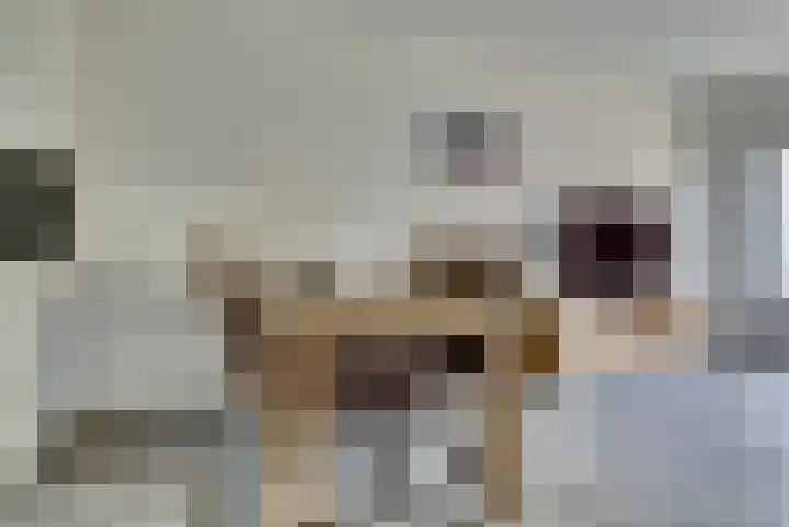't Hoge Eind 82 Westervoort thumbnail 8