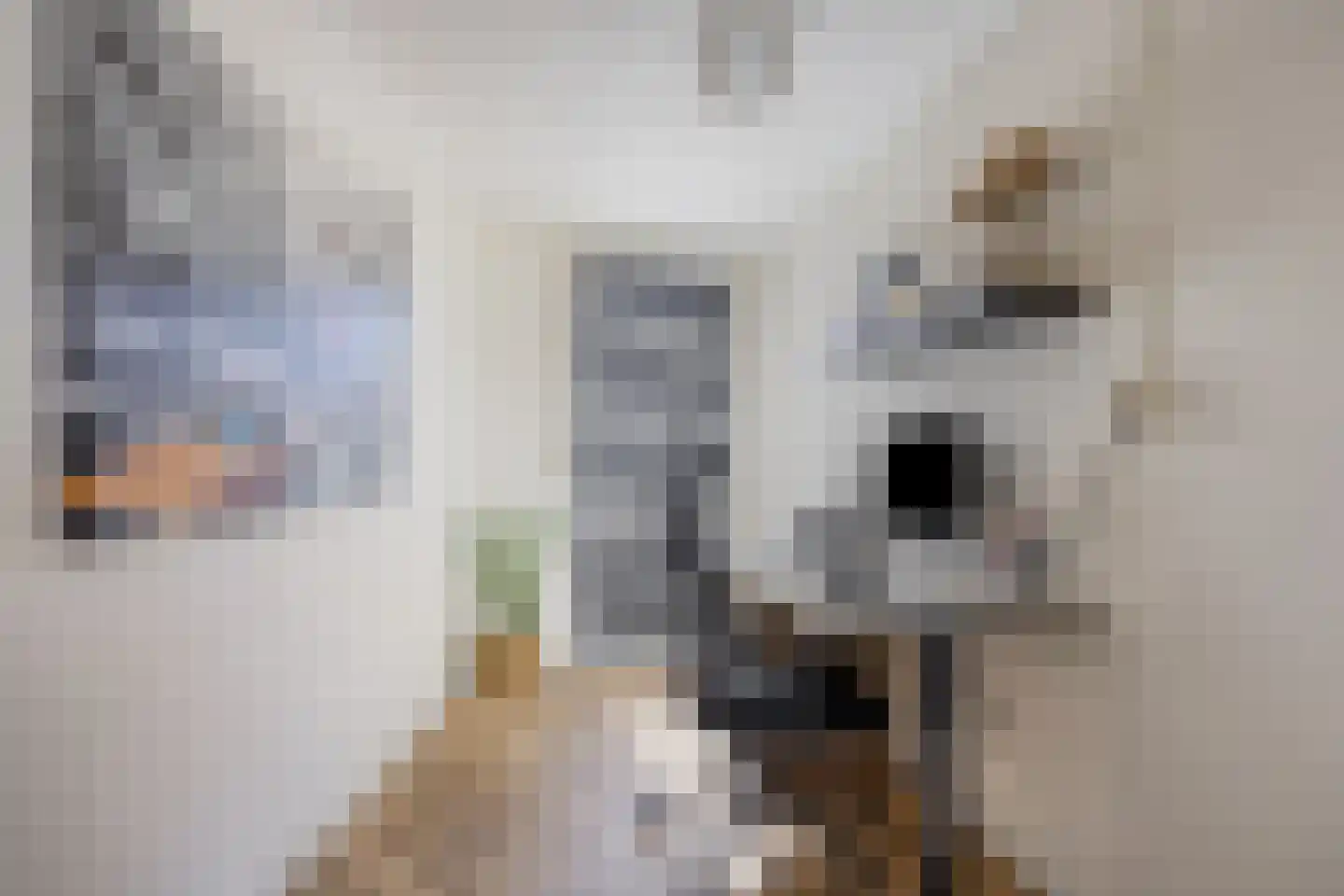 't Hoge Eind 96 Westervoort thumbnail 11