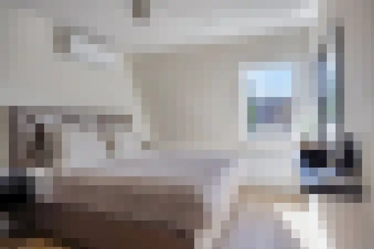 't Hoge Eind 96 Westervoort thumbnail 13