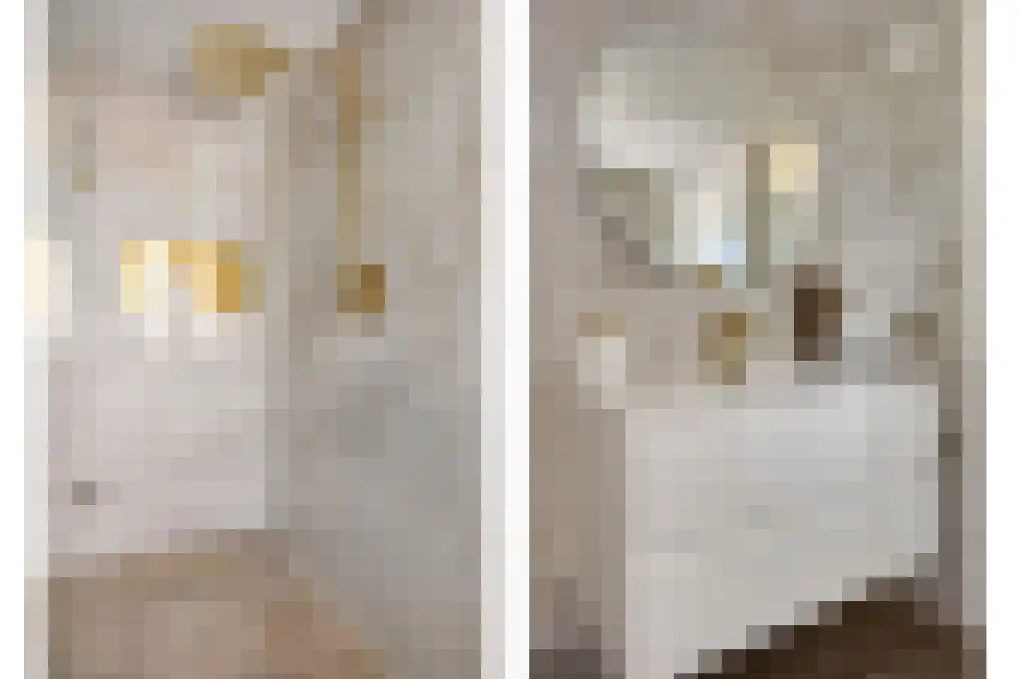 't Hoge Eind 96 Westervoort thumbnail 16