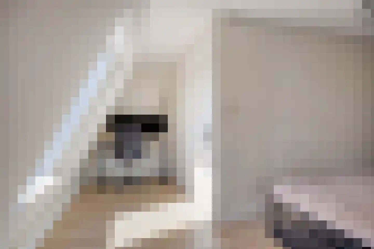 't Hoge Eind 96 Westervoort thumbnail 21