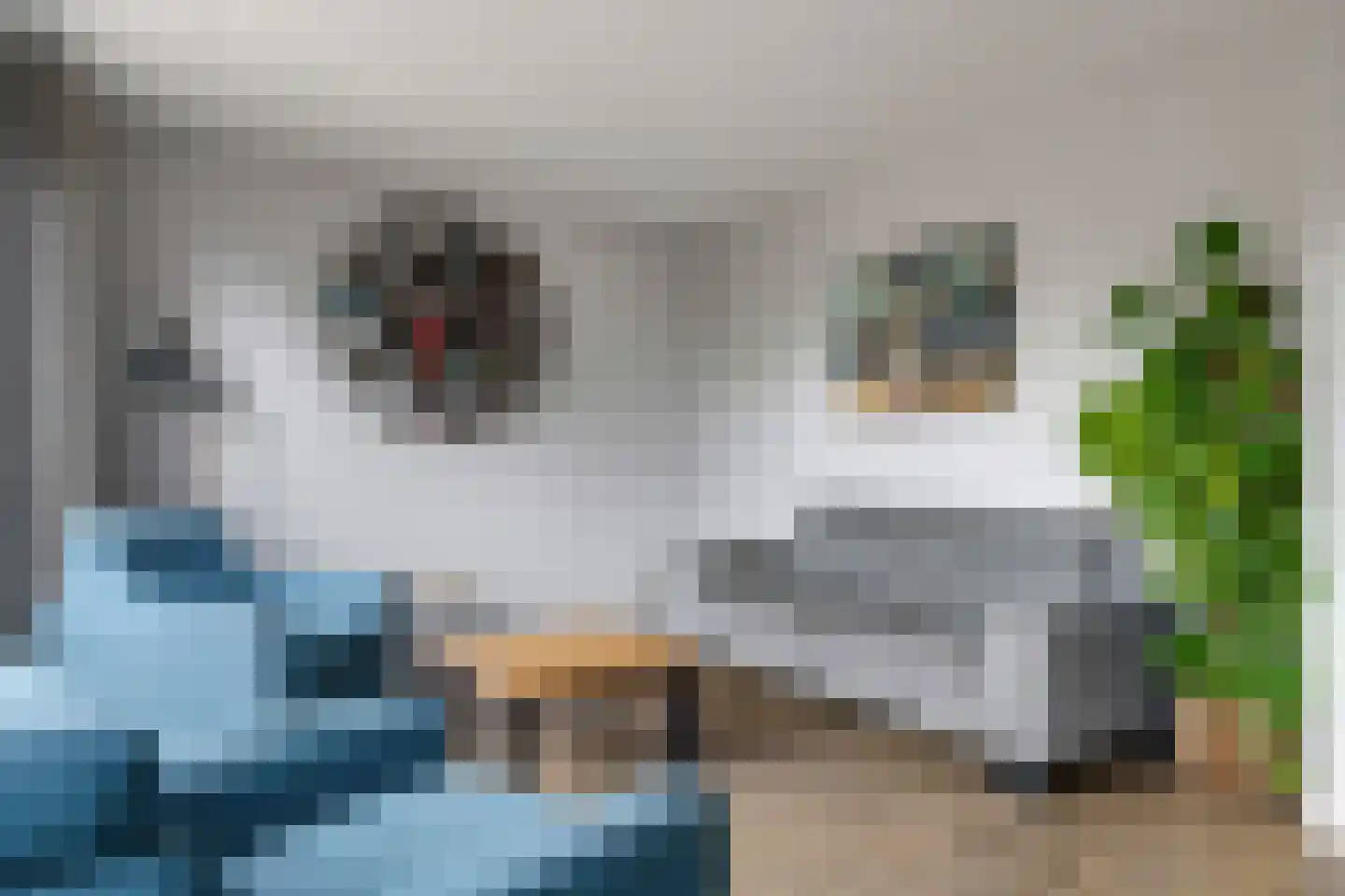 't Hoge Veld 13 Herveld thumbnail 14