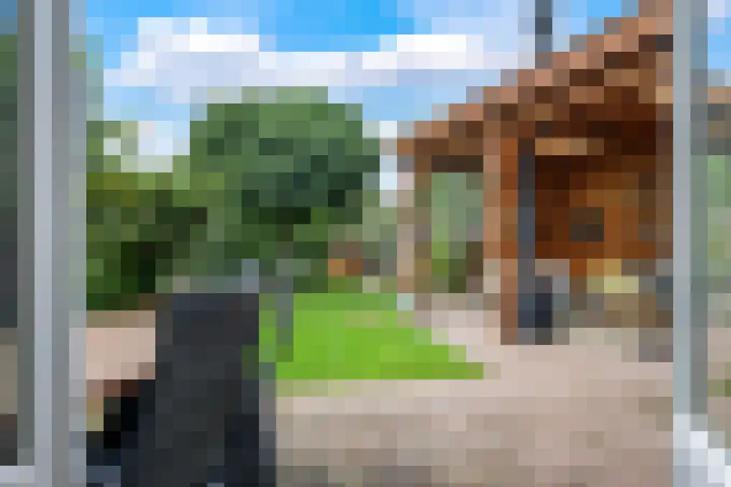 't Hoge Veld 13 Herveld thumbnail 17