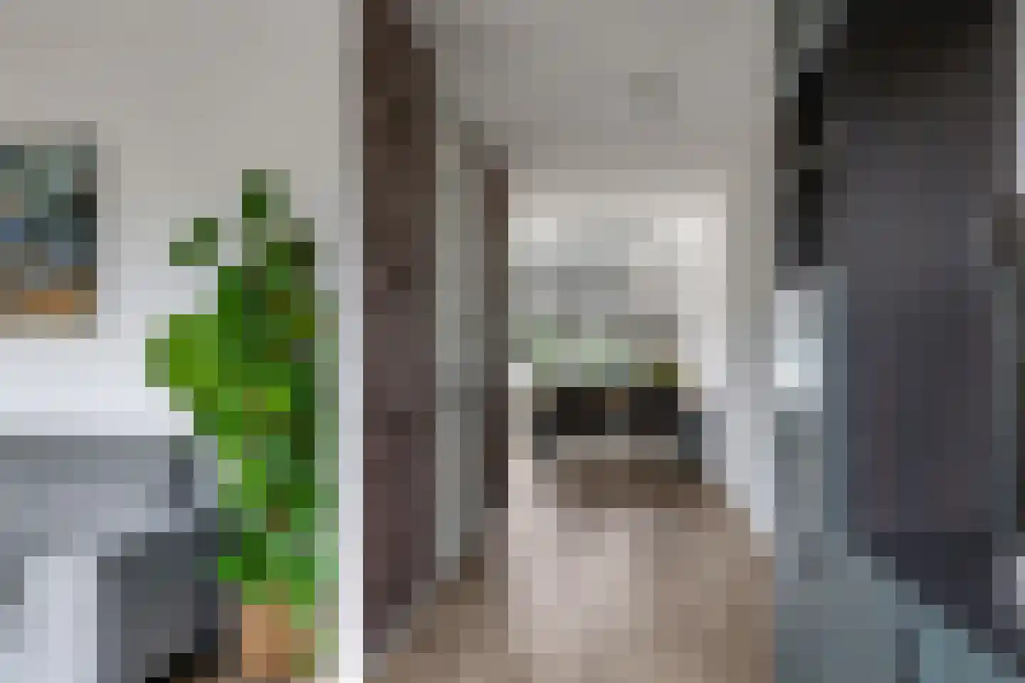 't Hoge Veld 13 Herveld thumbnail 19