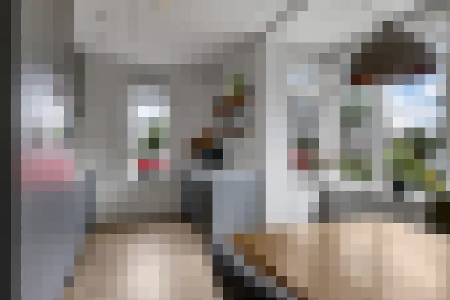 't Hoge Veld 13 Herveld thumbnail 21