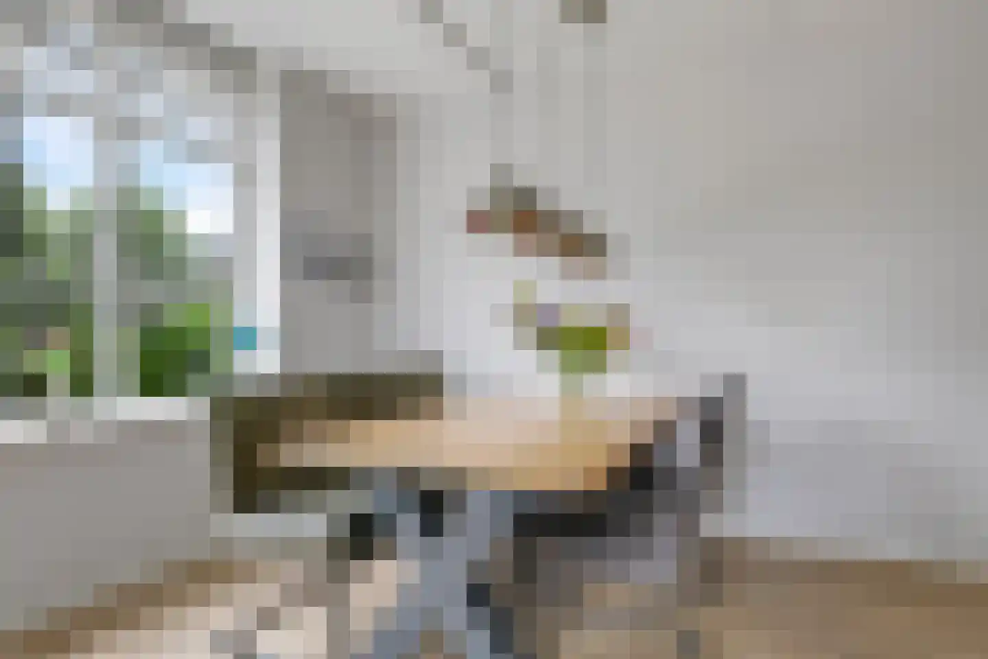 't Hoge Veld 13 Herveld thumbnail 26