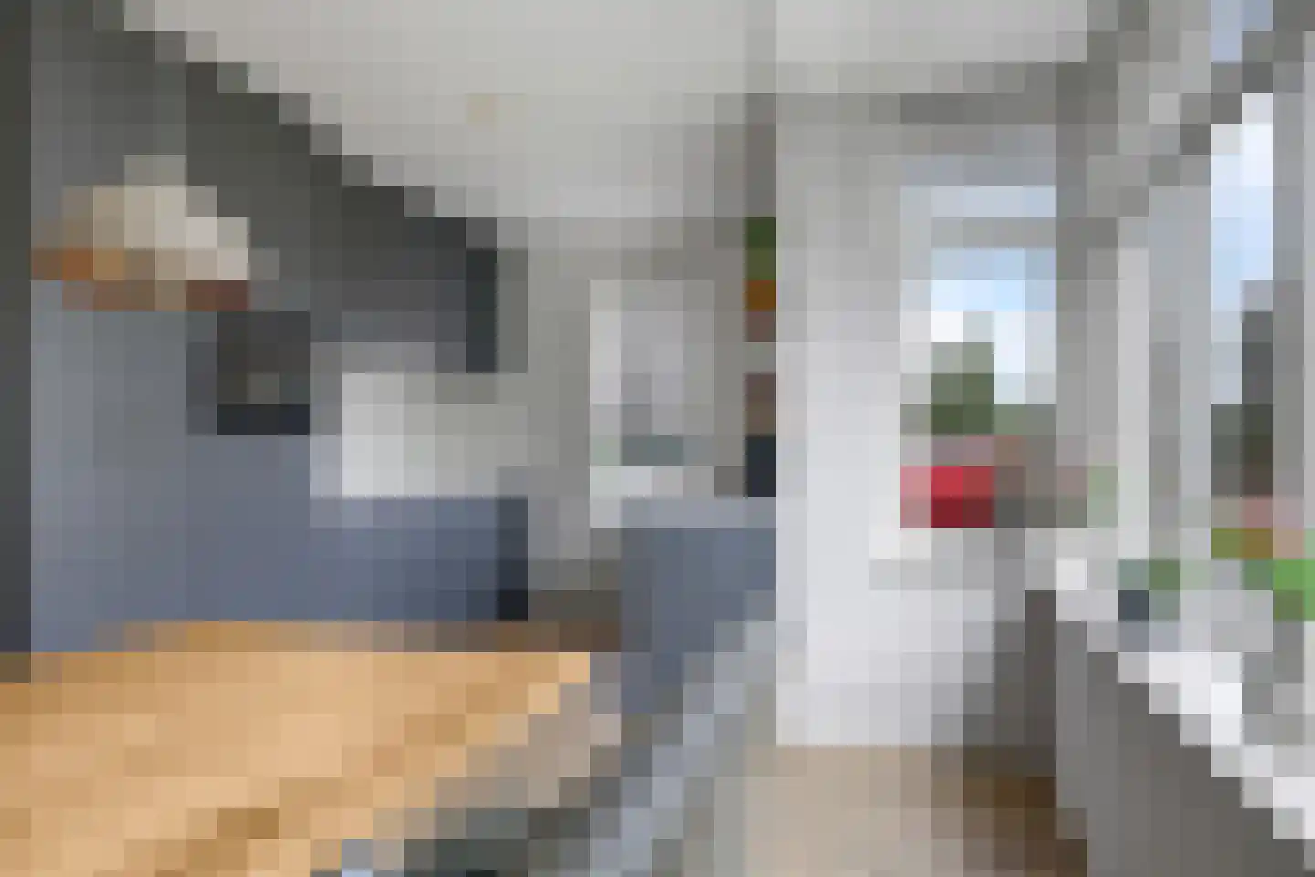 't Hoge Veld 13 Herveld thumbnail 27