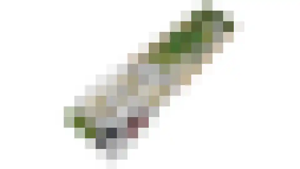 't Hoge Veld 13 Herveld thumbnail 51