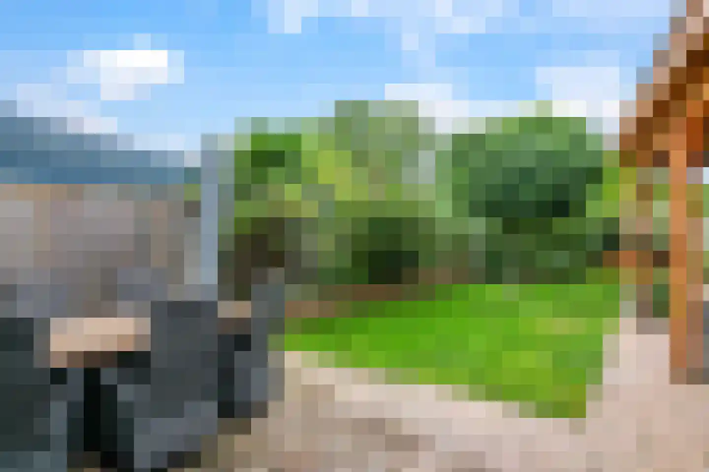 't Hoge Veld 13 Herveld thumbnail 54
