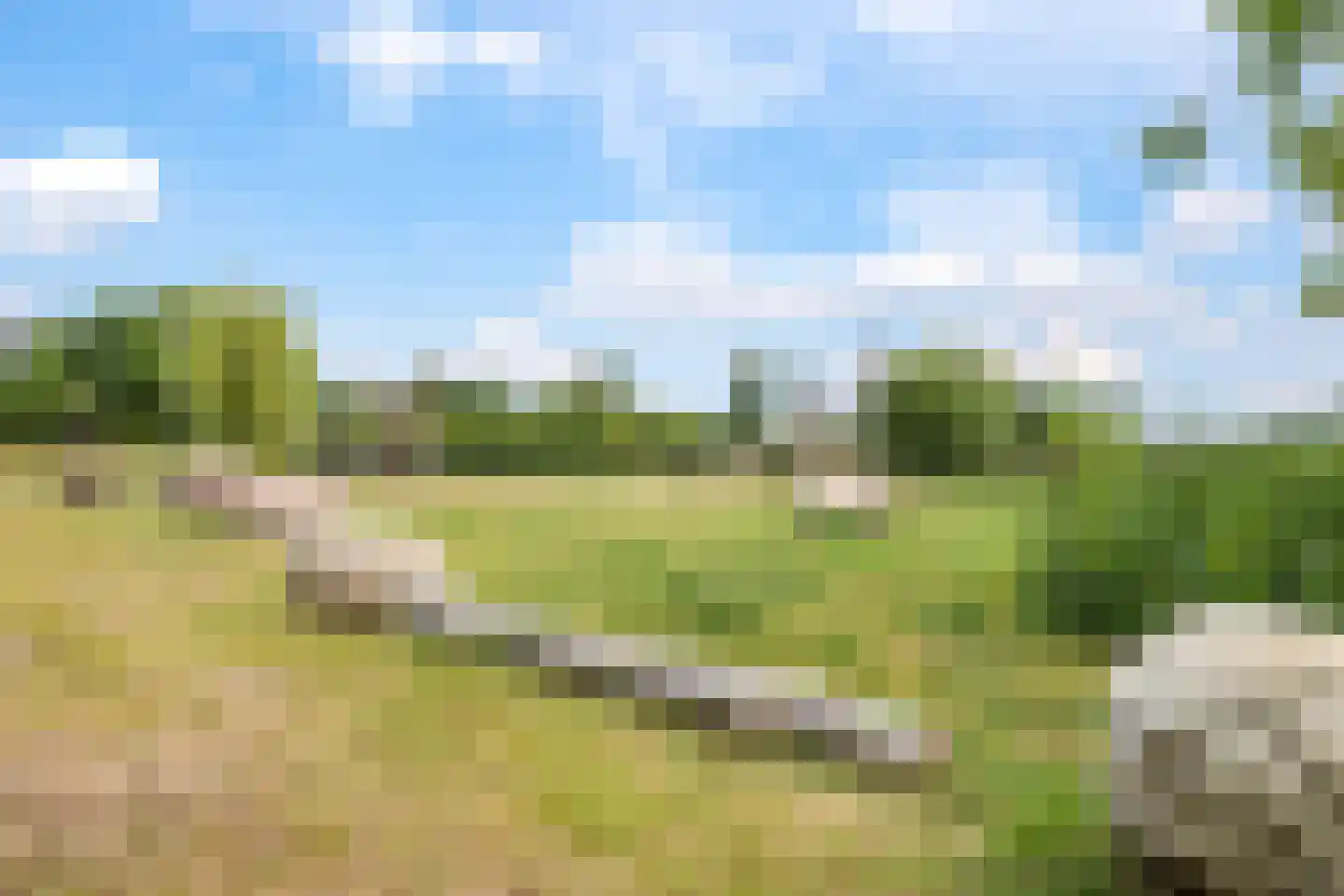 't Hoge Veld 13 Herveld thumbnail 6