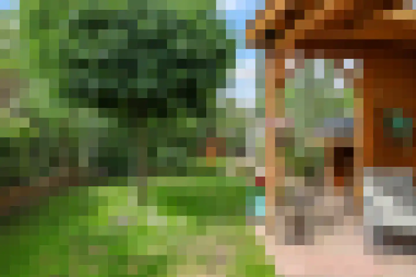 't Hoge Veld 13 Herveld thumbnail 62