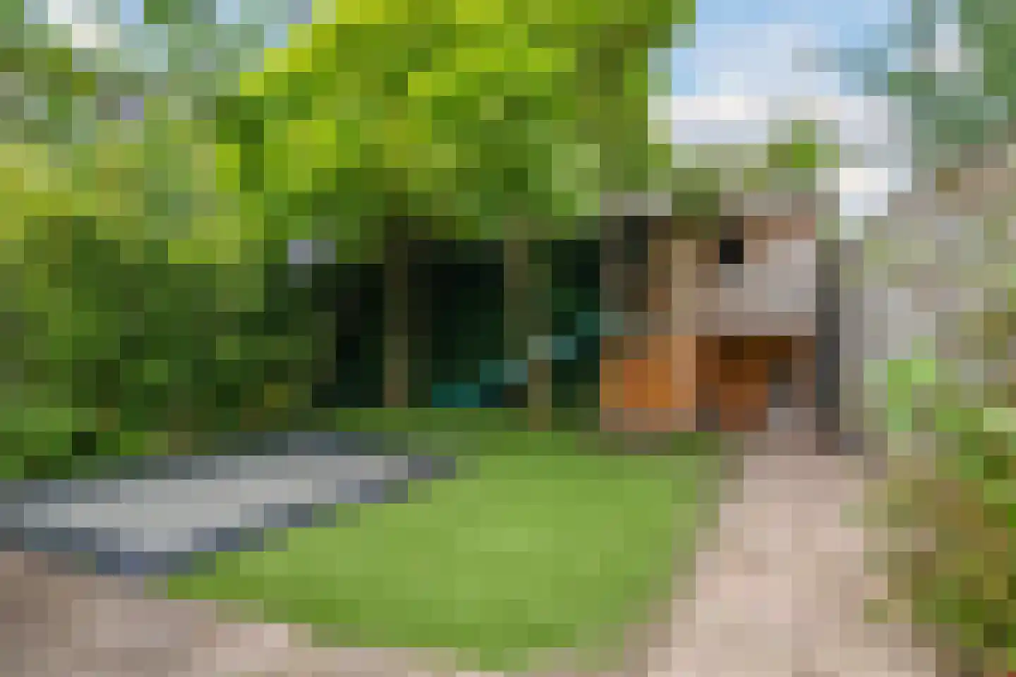 't Hoge Veld 13 Herveld thumbnail 63