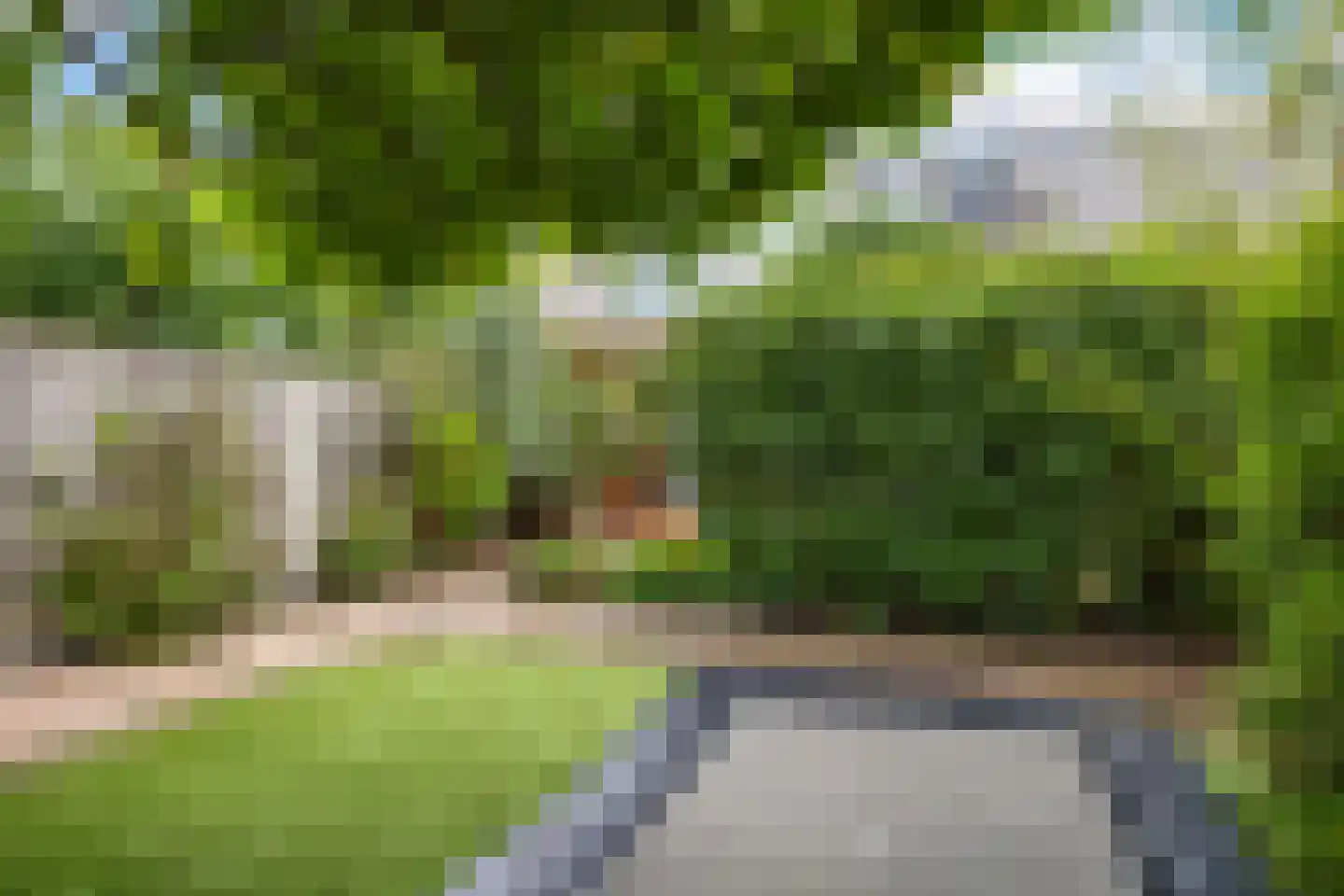 't Hoge Veld 13 Herveld thumbnail 65