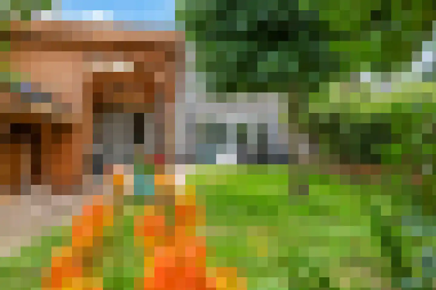 't Hoge Veld 13 Herveld thumbnail 67