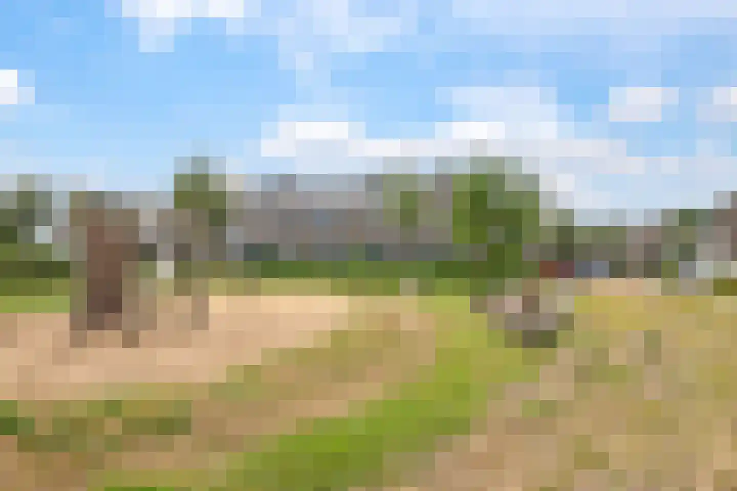 't Hoge Veld 13 Herveld thumbnail 81