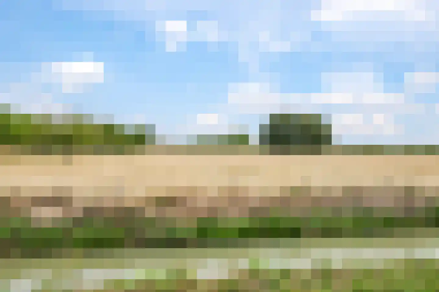't Hoge Veld 13 Herveld thumbnail 82