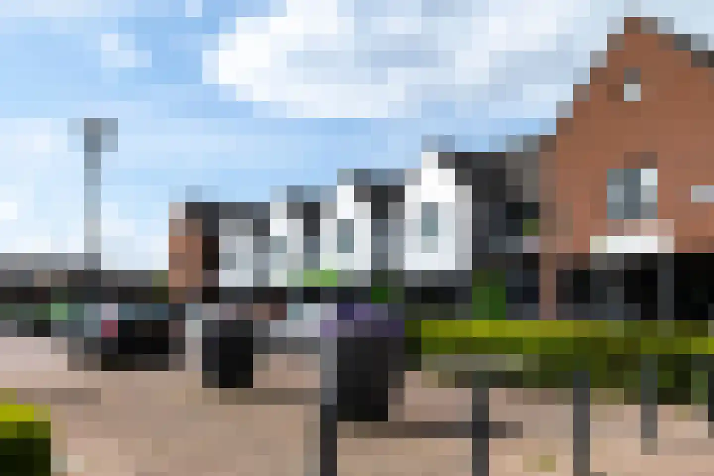 't Hoge Veld 13 Herveld thumbnail 83