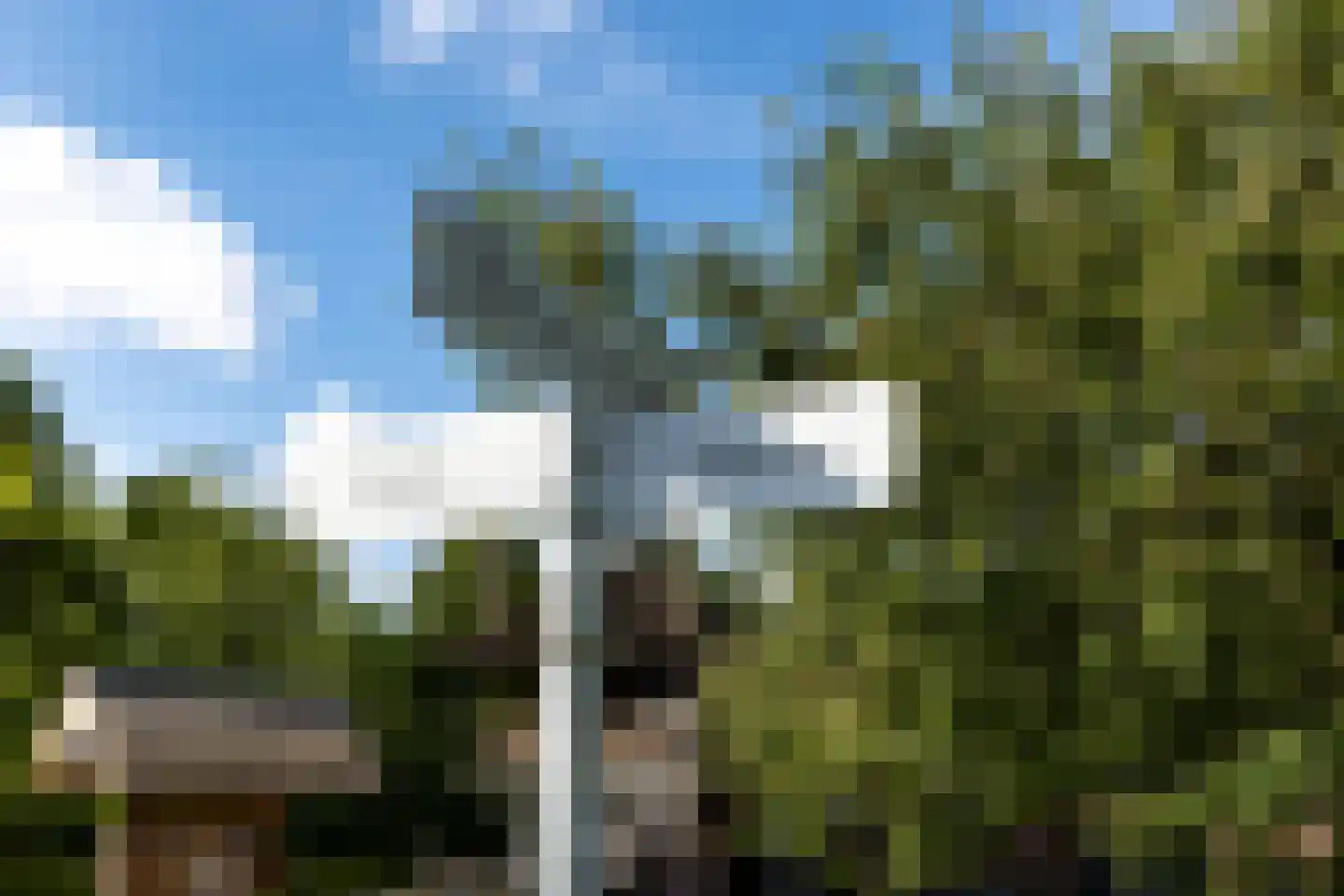 't Hoge Veld 13 Herveld thumbnail 84