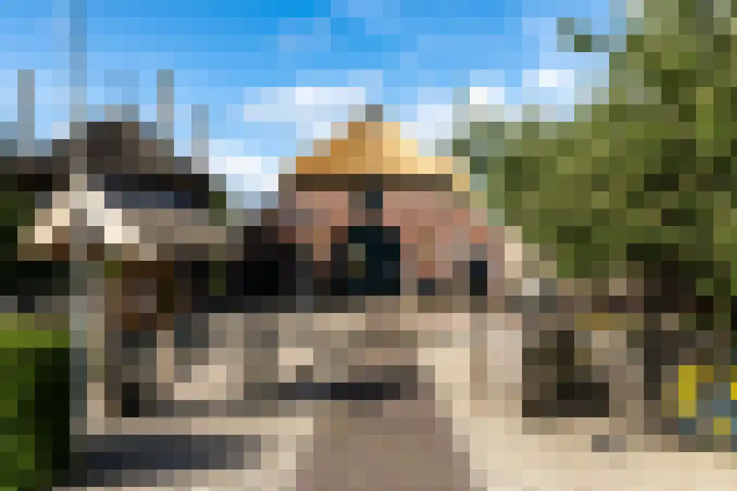 't Hoge Veld 13 Herveld thumbnail 86